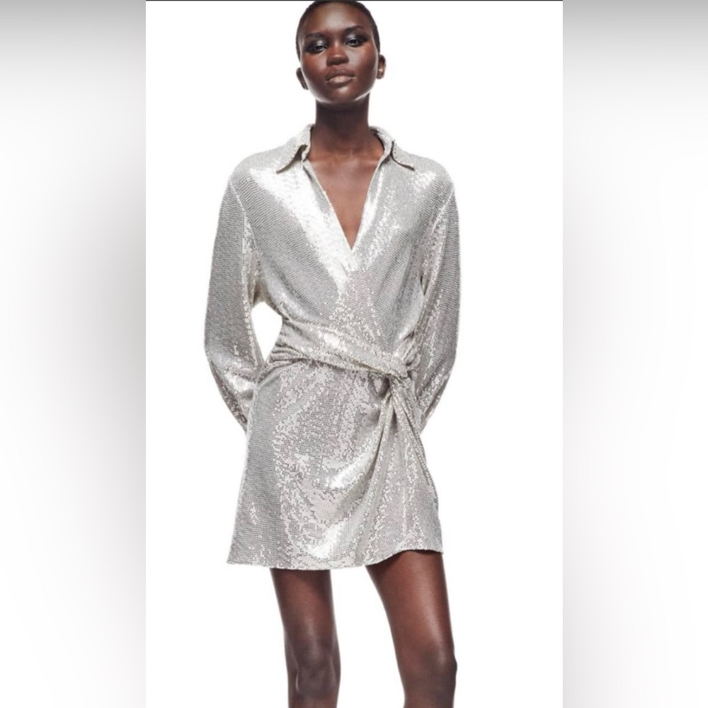 NWTs Zara Silver Sequin Long Sleeve Dress
